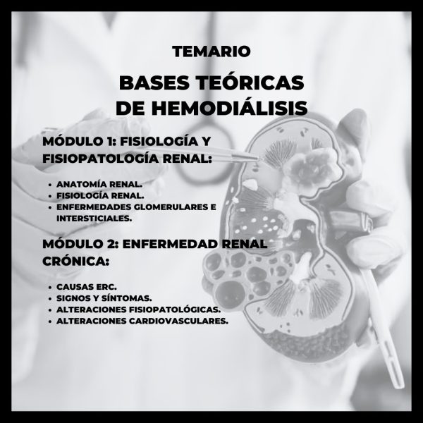 Diplomado Bases Teóricas de la Hemodiálisis - Imagen 2