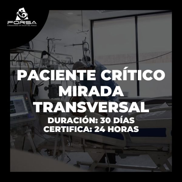 Paciente Crítico, Una mirada transversal